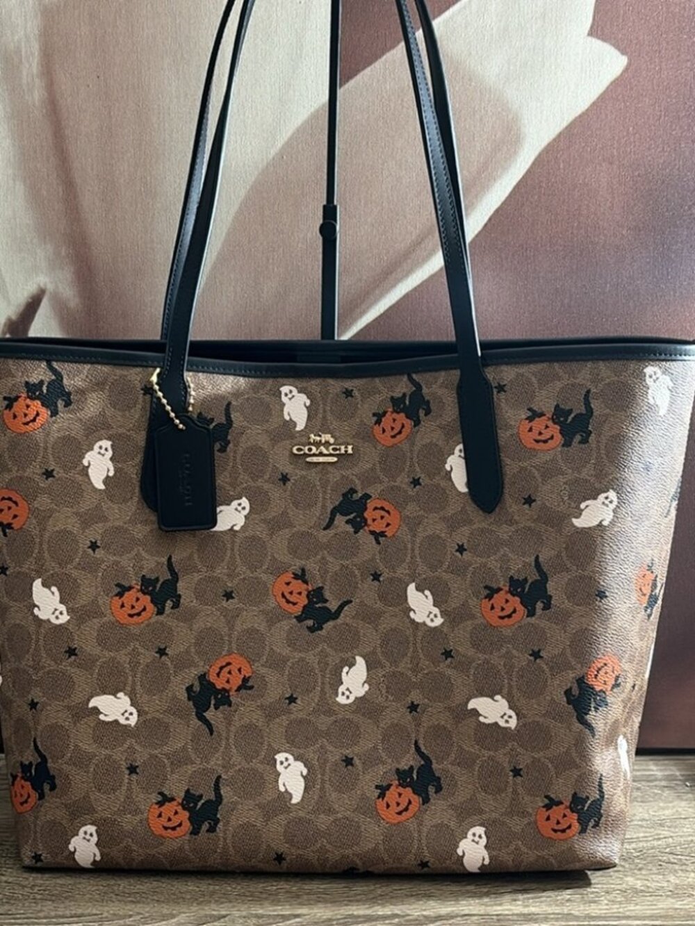 Coach City Tote In Signature Canvas With Halloween Print CW450